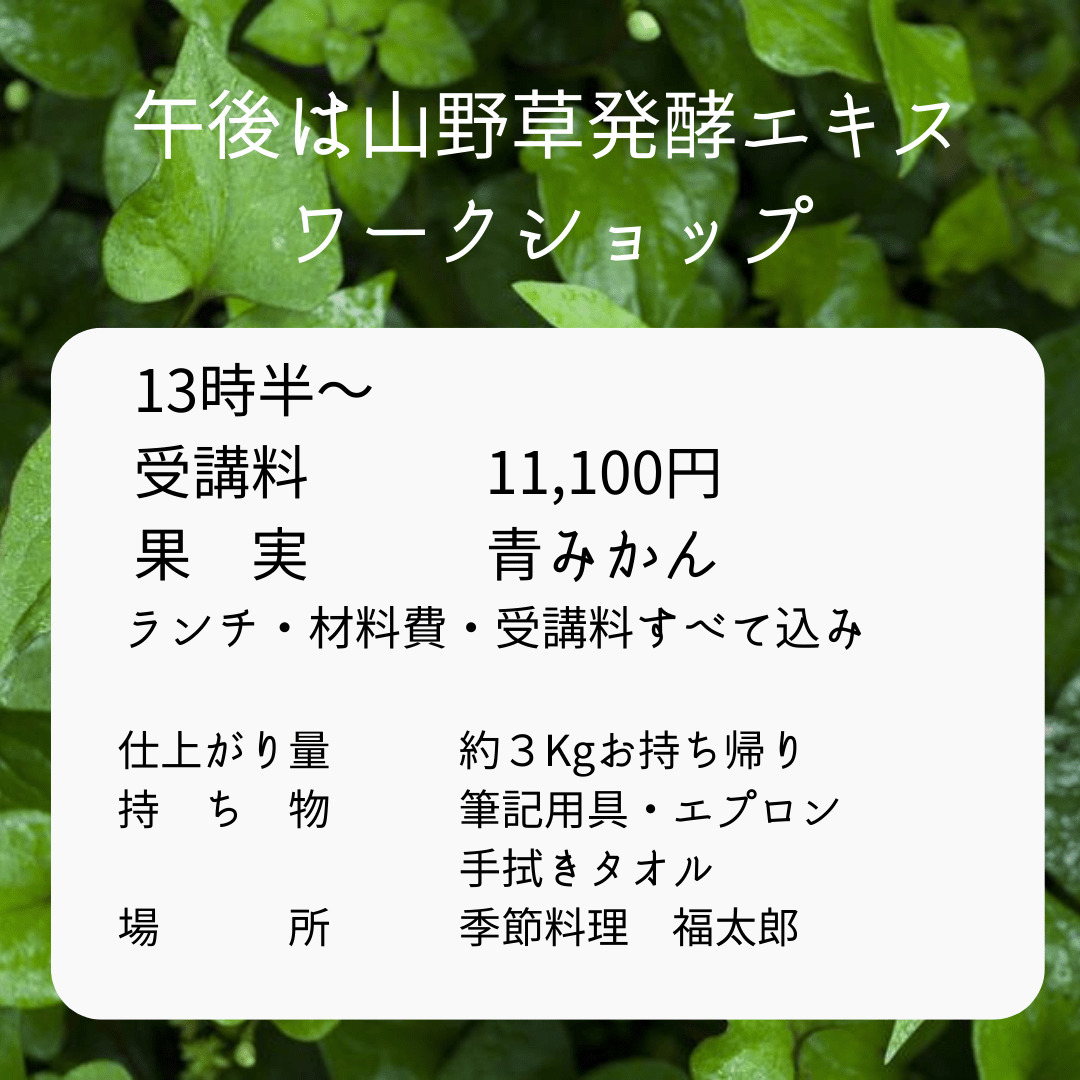 《9月6日》<br>発酵エキス教室「青みかん」
