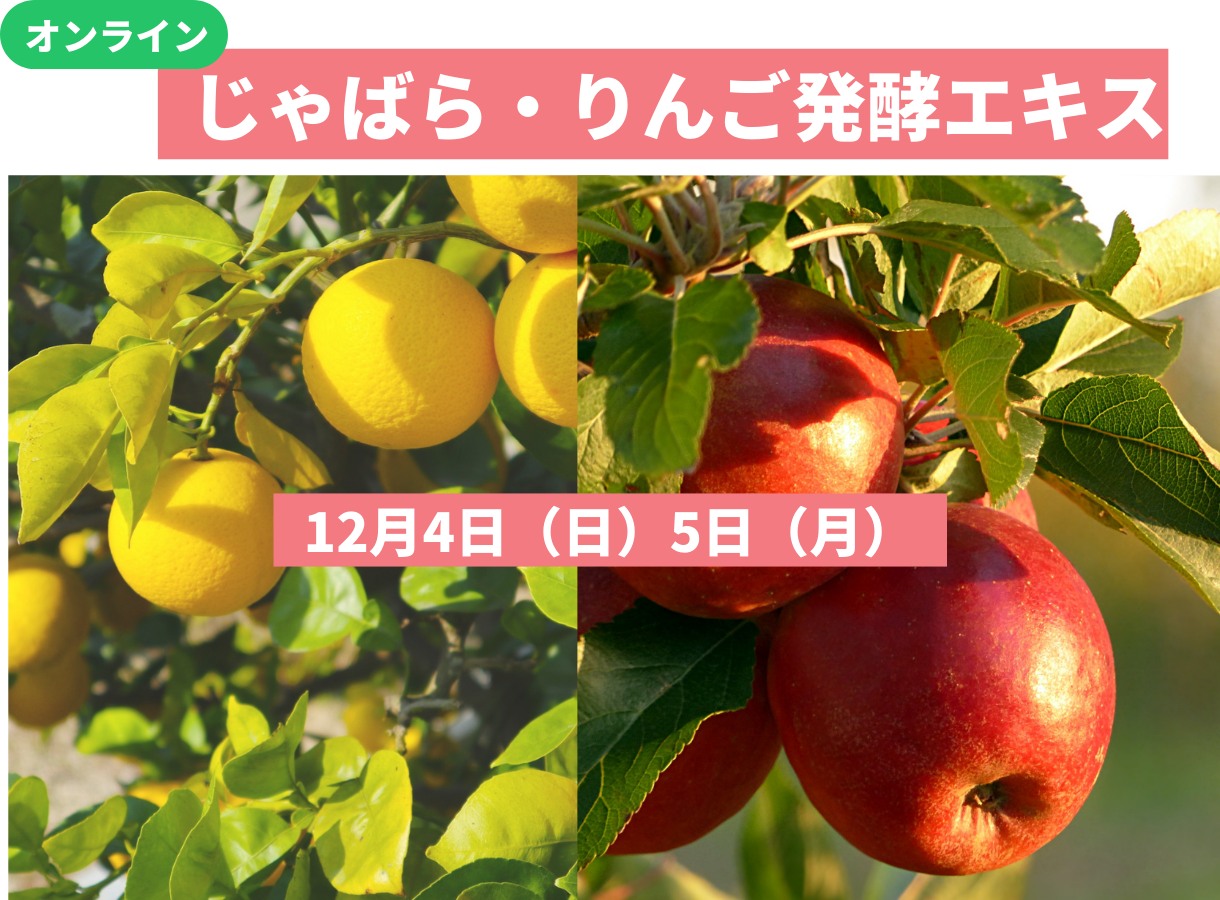 《体験会》12月4日, 5日　<br>発酵エキス「じゃばら・りんご」