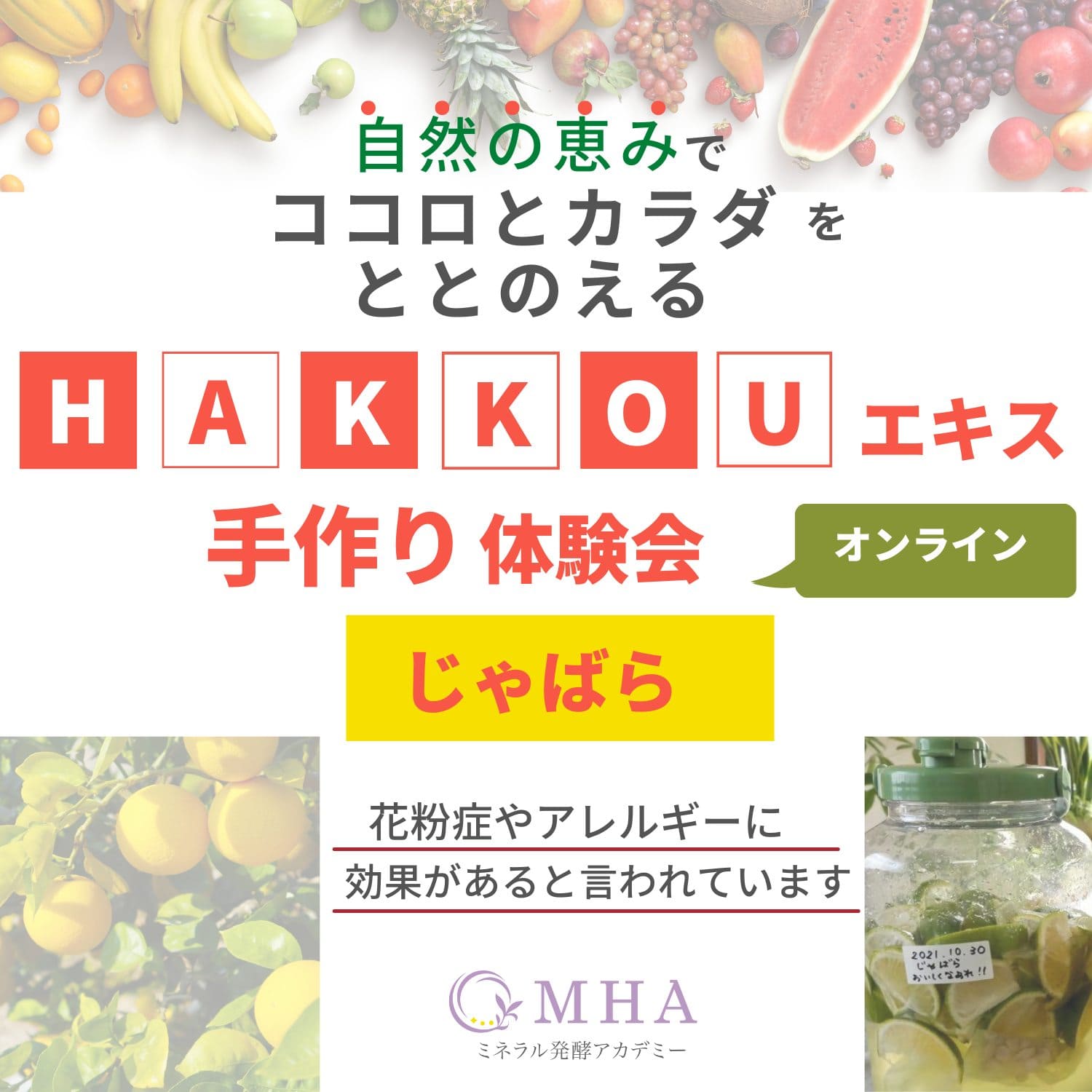 《体験会》11月25日, 26日　<br>発酵エキス体験会「じゃばら」