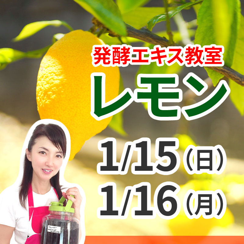 《浜松》1月15日, 16日　<br>発酵エキス教室「レモン」
