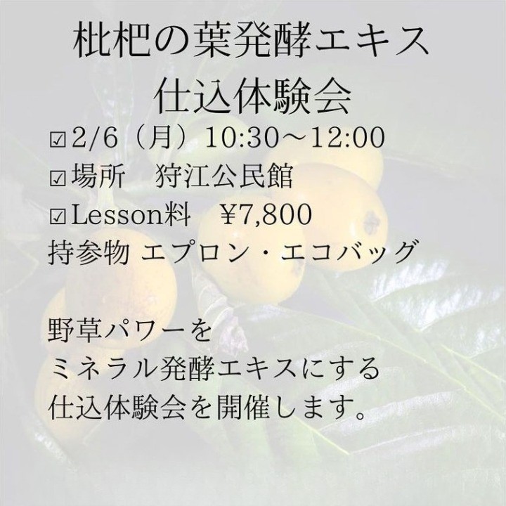 《愛媛》2月6日　<br>びわの葉 発酵エキス体験会