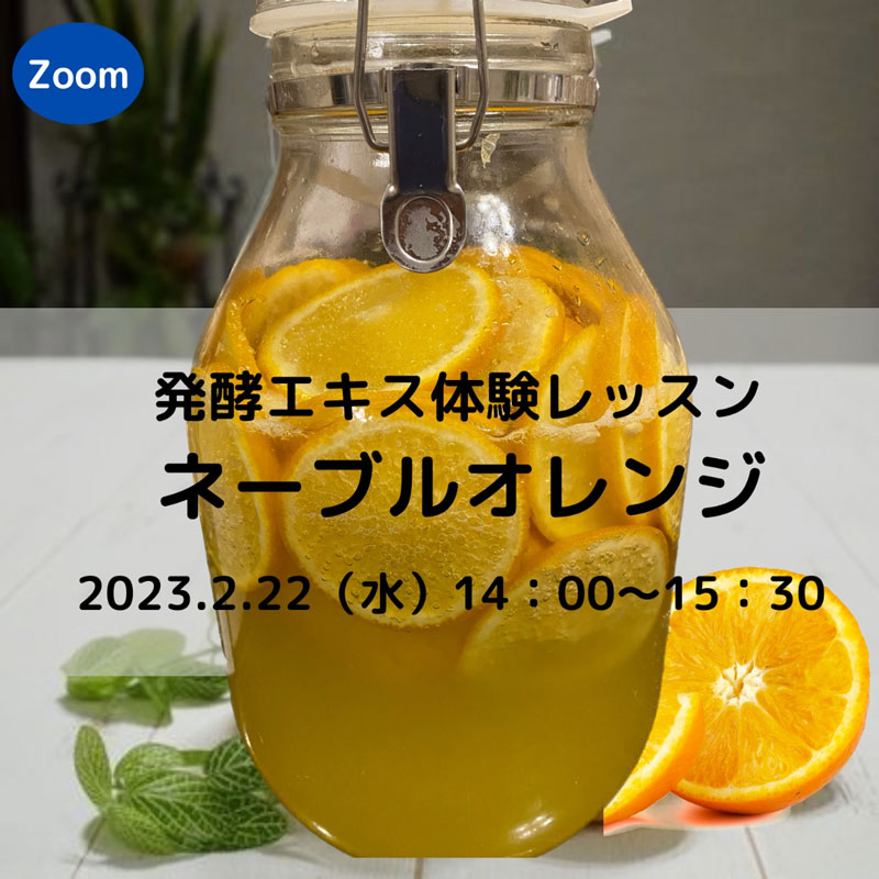 《体験会》2月22日　<br>発酵エキス「ネーブルオレンジ」