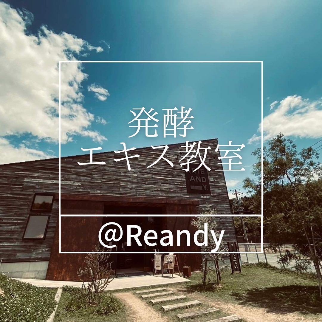 発酵エキスレッスン@Reandy　年間スケジュール