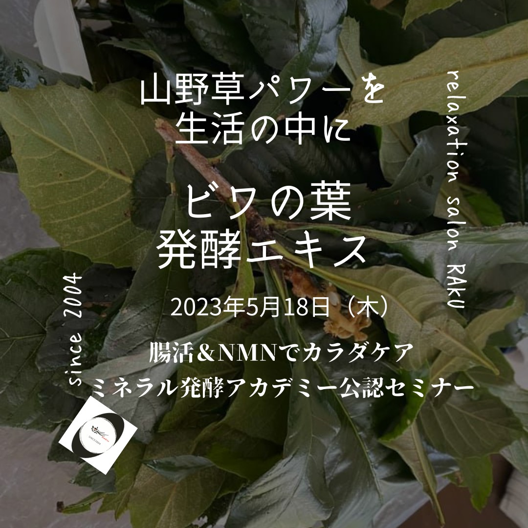《オンライン》5月18日　<br>発酵エキス教室<br>「ビワの葉」