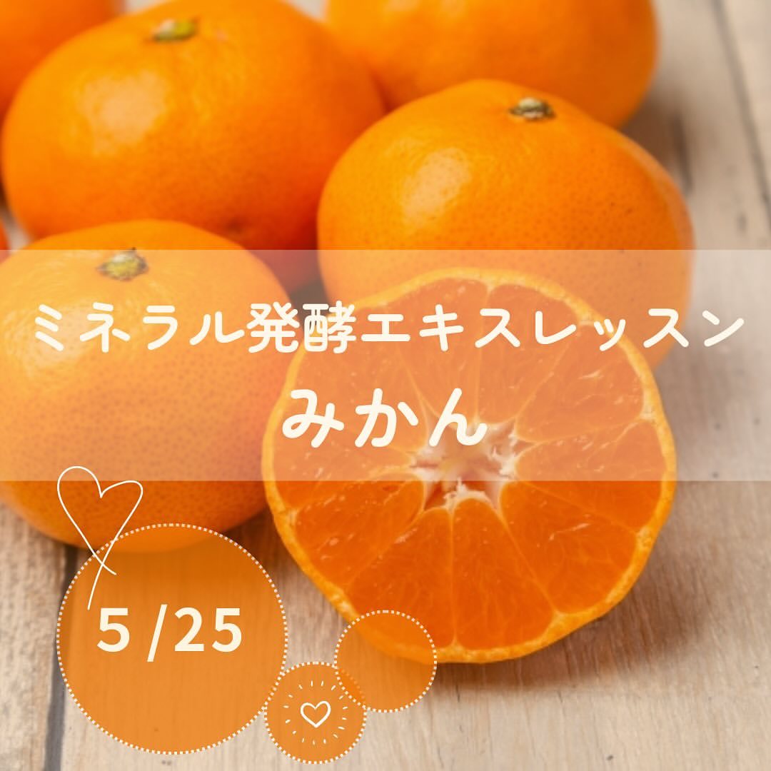 《大阪》5月25日　<br>発酵エキスレッスン<br>「みかん」