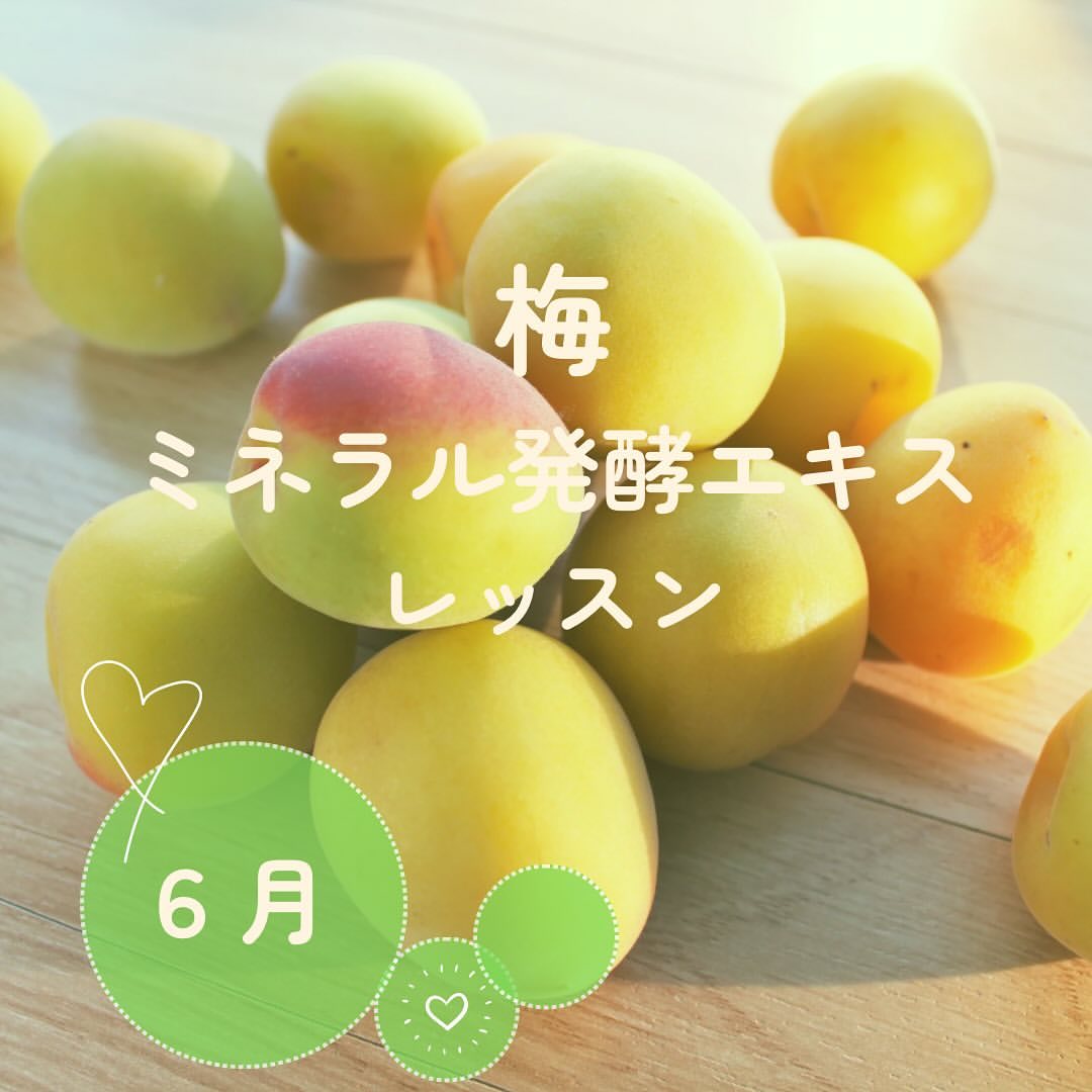 《大阪》6月22日, 28日　<br>発酵エキスレッスン<br>「梅」