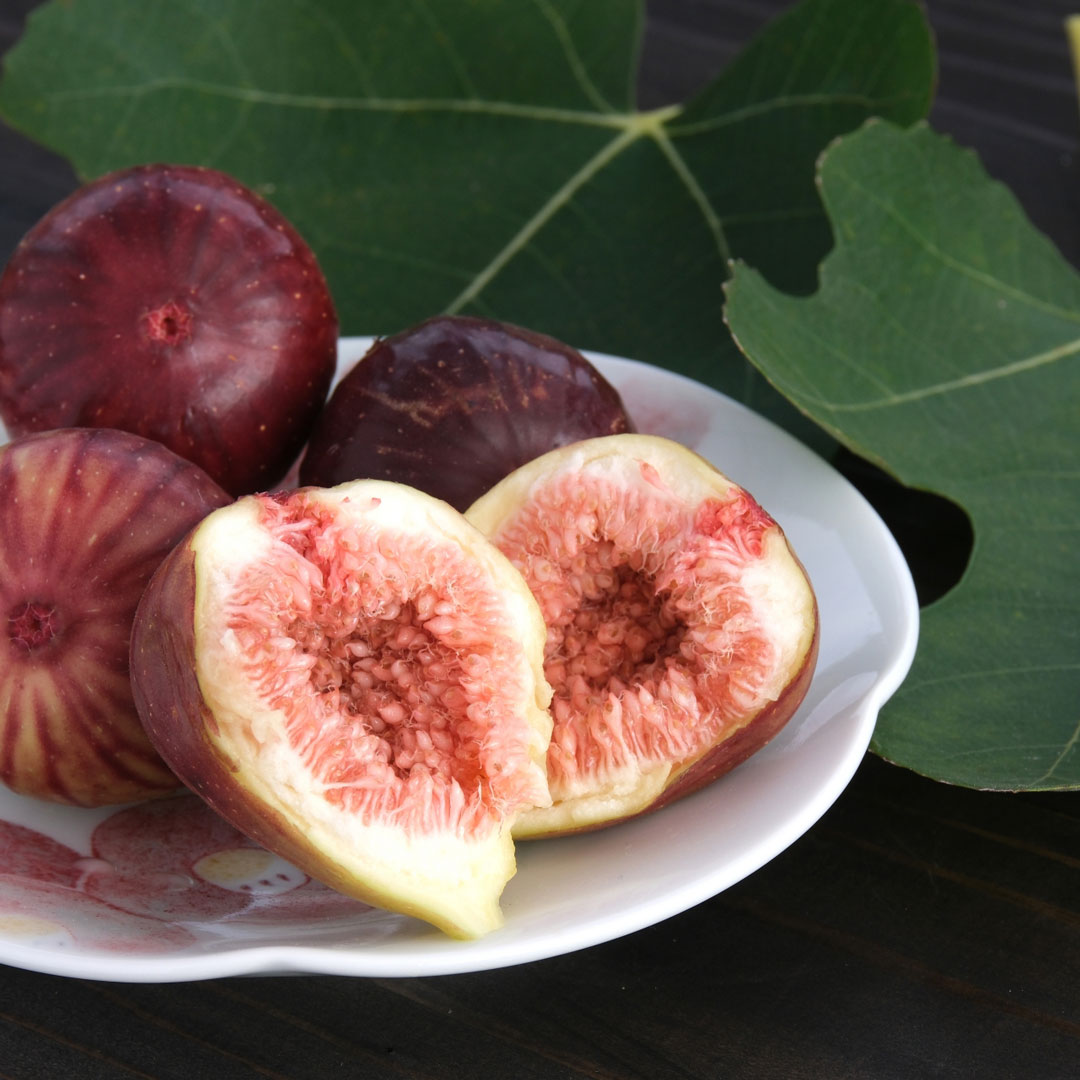 《大阪》9/14, 15　<br>発酵エキスレッスン<br>「いちじく」