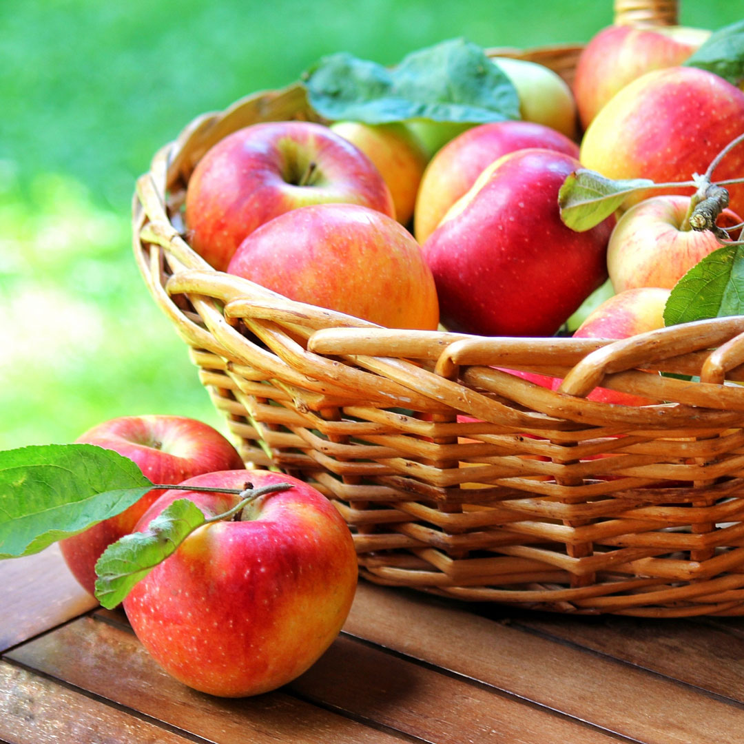 《大阪》10/20, 26　<br>発酵エキスレッスン<br>「りんご」