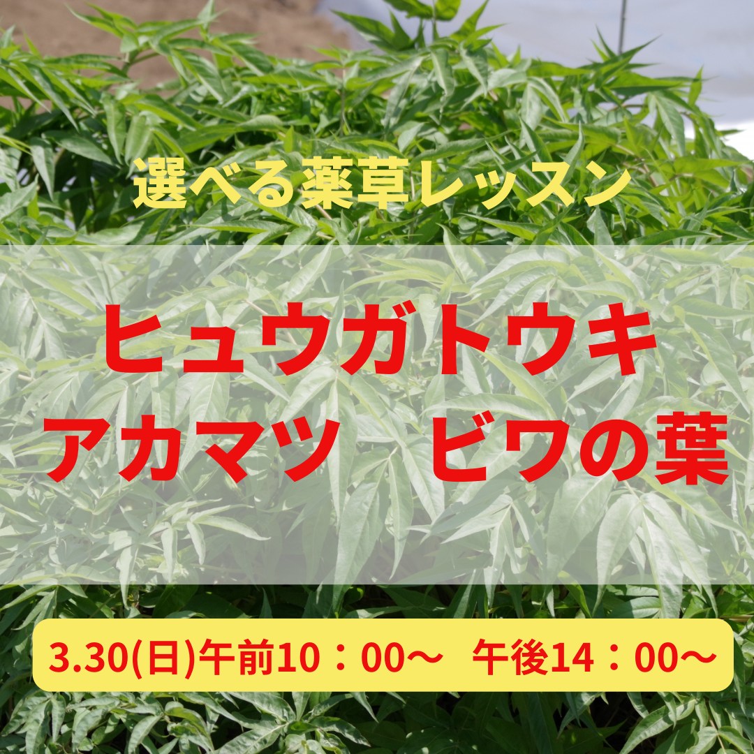 《浜松》3/30<br>選べる薬草<br>発酵エキスレッスン