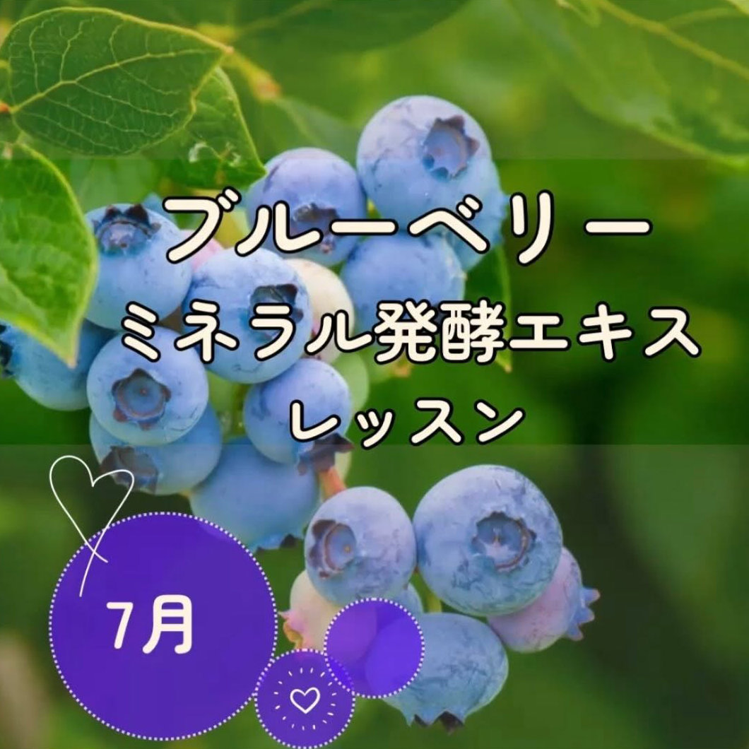 《大阪》7/12　<br>発酵エキスレッスン<br>ブルーベリー