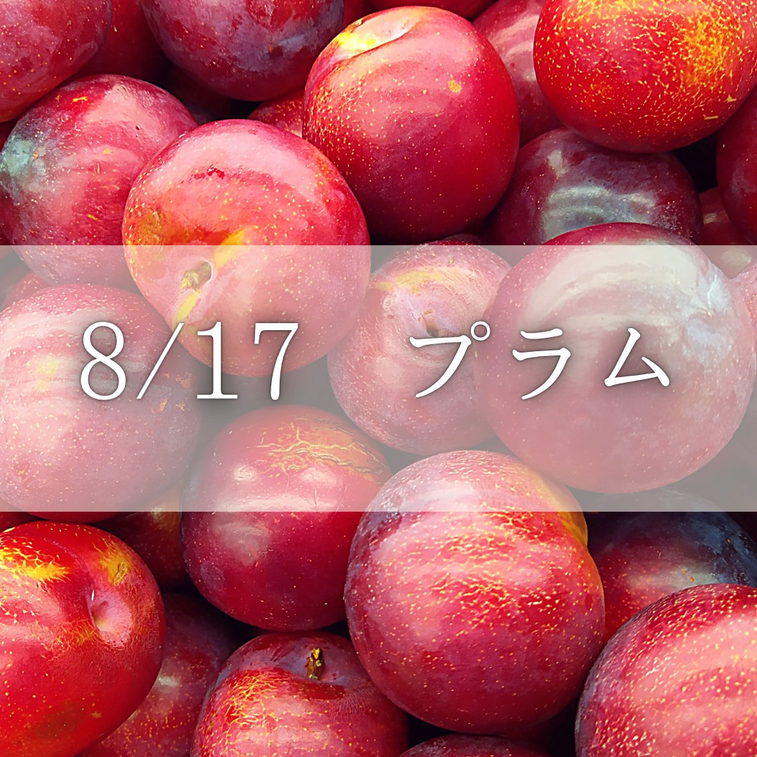 《浜松》8/17<br>発酵エキスレッスン<br>プラム