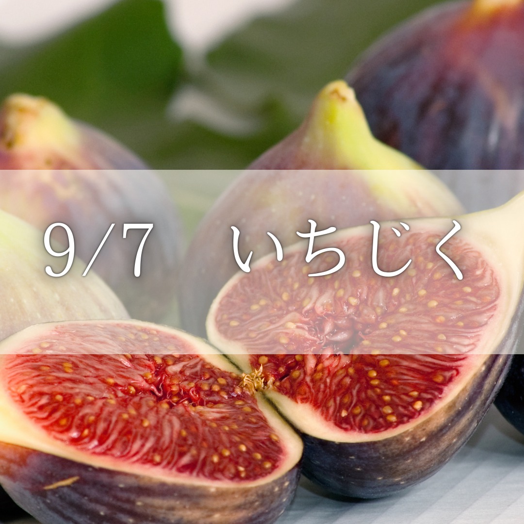 《浜松》9/7<br>発酵エキスレッスン<br>いちじく
