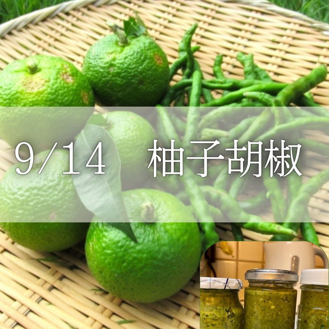 《浜松》9/14<br>季節の手仕事<br>柚子胡椒