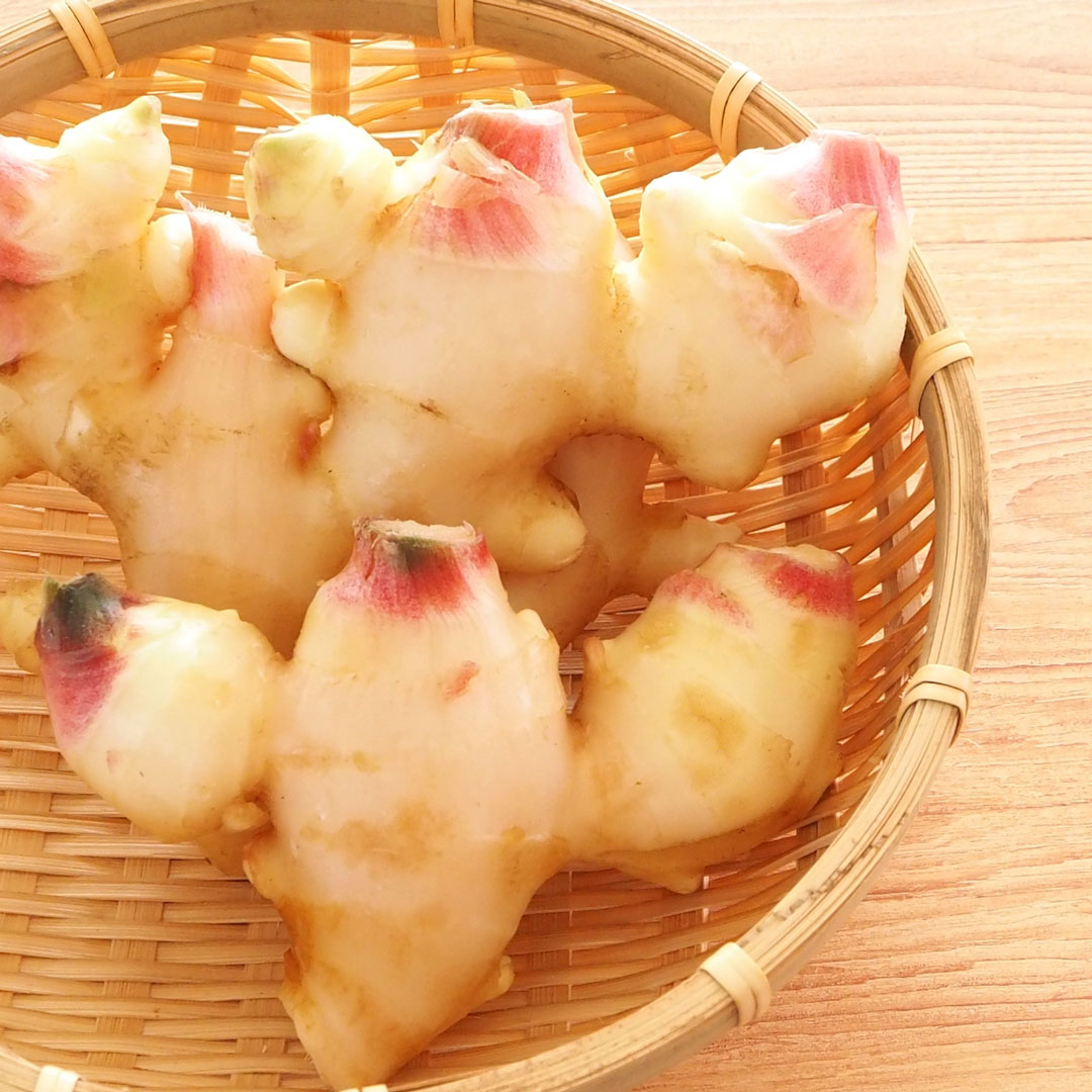 《浜松》9/23, 28<br>発酵エキスレッスン<br>新生姜