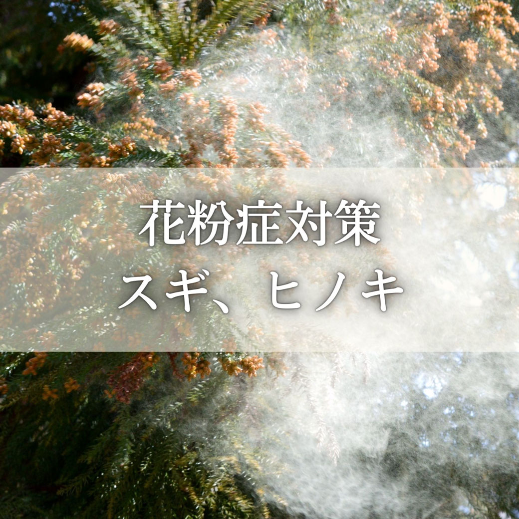 《オンライン》10/22<br>花粉症対策<br>発酵エキスレッスン<br>スギ、ヒノキ