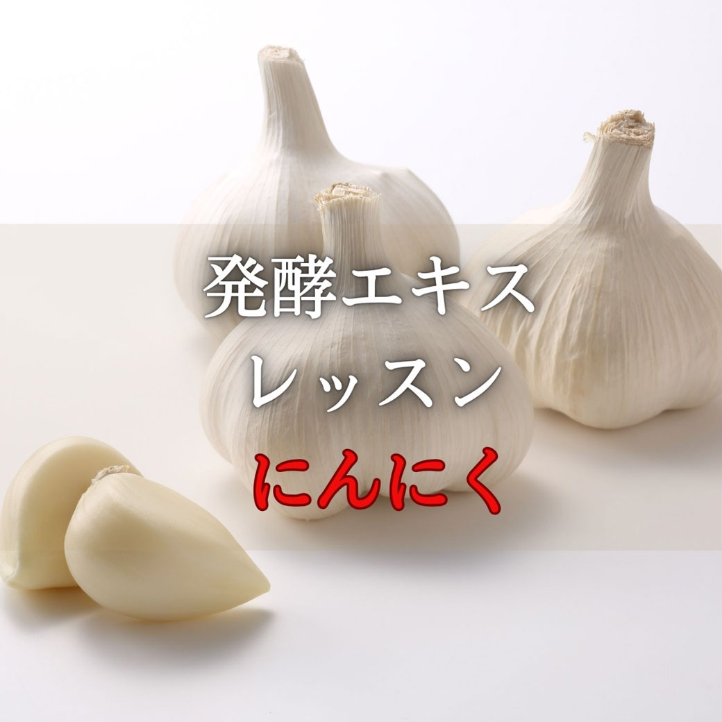 《浜松》10/26<br>発酵エキスレッスン<br>にんにく