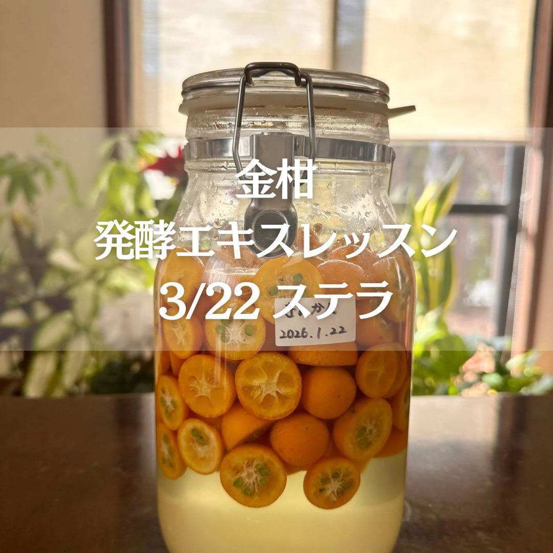 《浜松》3/22<br>発酵エキスレッスン<br>金柑