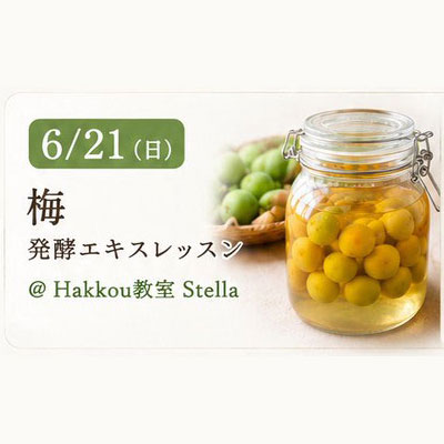 《浜松本校》6/21<br>発酵エキスレッスン<br>梅