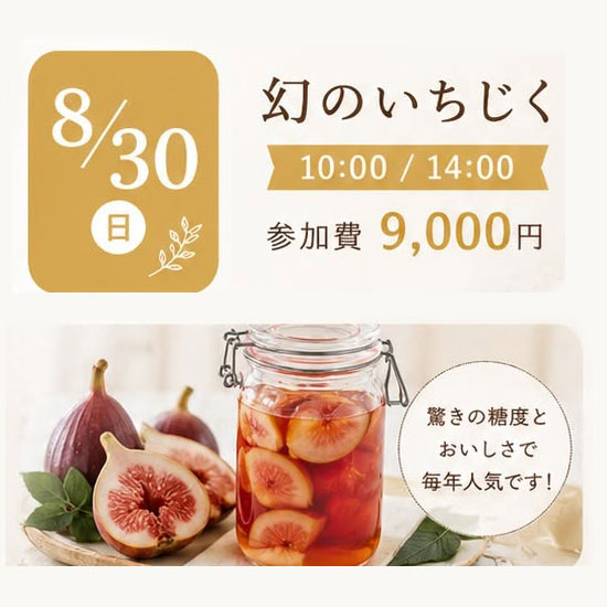 《浜松本校》8/30<br>発酵エキスレッスン<br>幻のいちじく