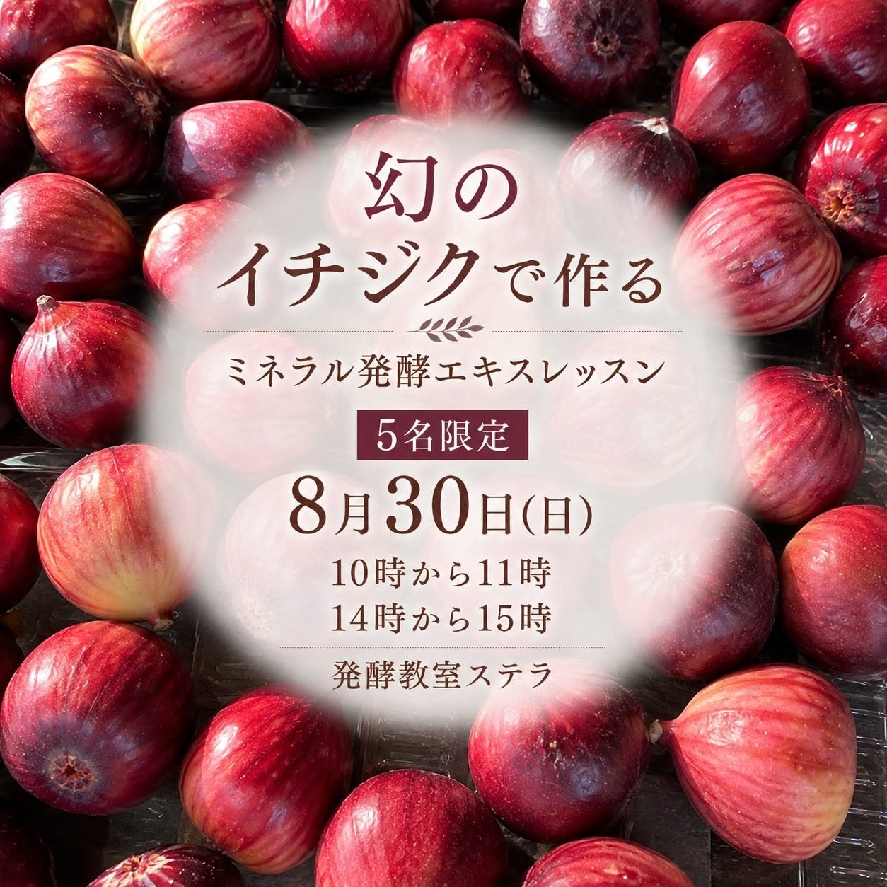 《浜松本校》8/30<br>発酵エキスレッスン<br>幻のいちじく