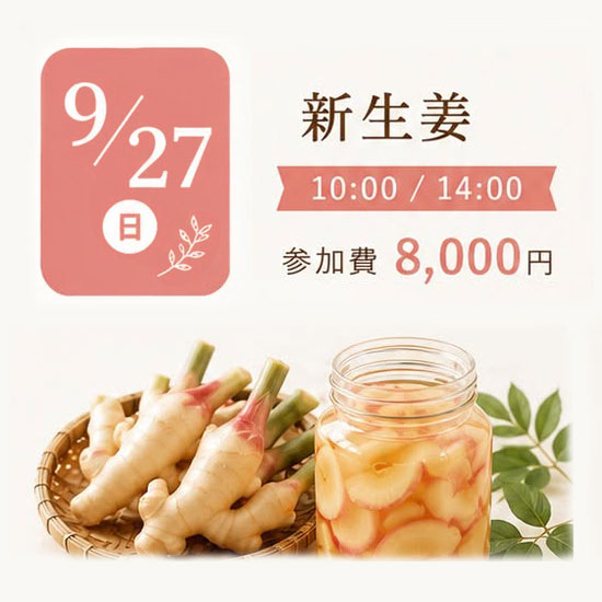 《浜松本校》9/27<br>発酵エキスレッスン<br>新生姜