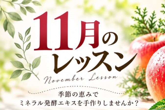 11月のレッスンのご案内